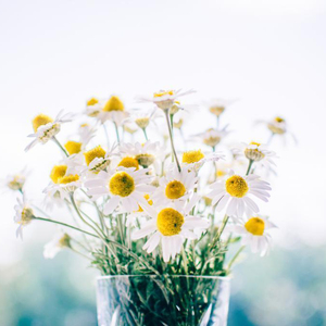 东京热高清无码系列
