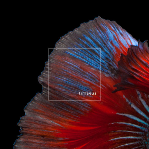 东京热高清无码系列
