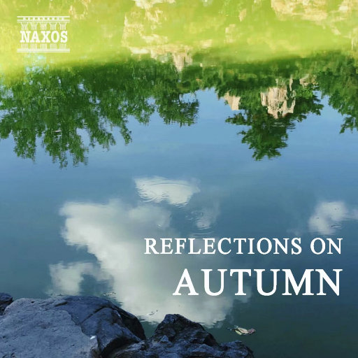 东京热高清无码系列
